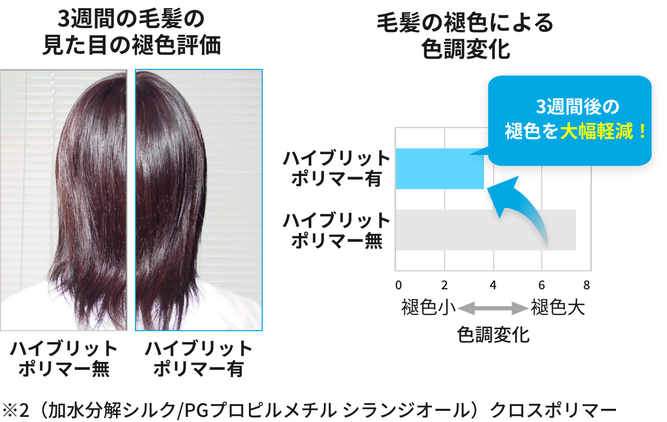 3週間の毛髪の見た目の褪色評価